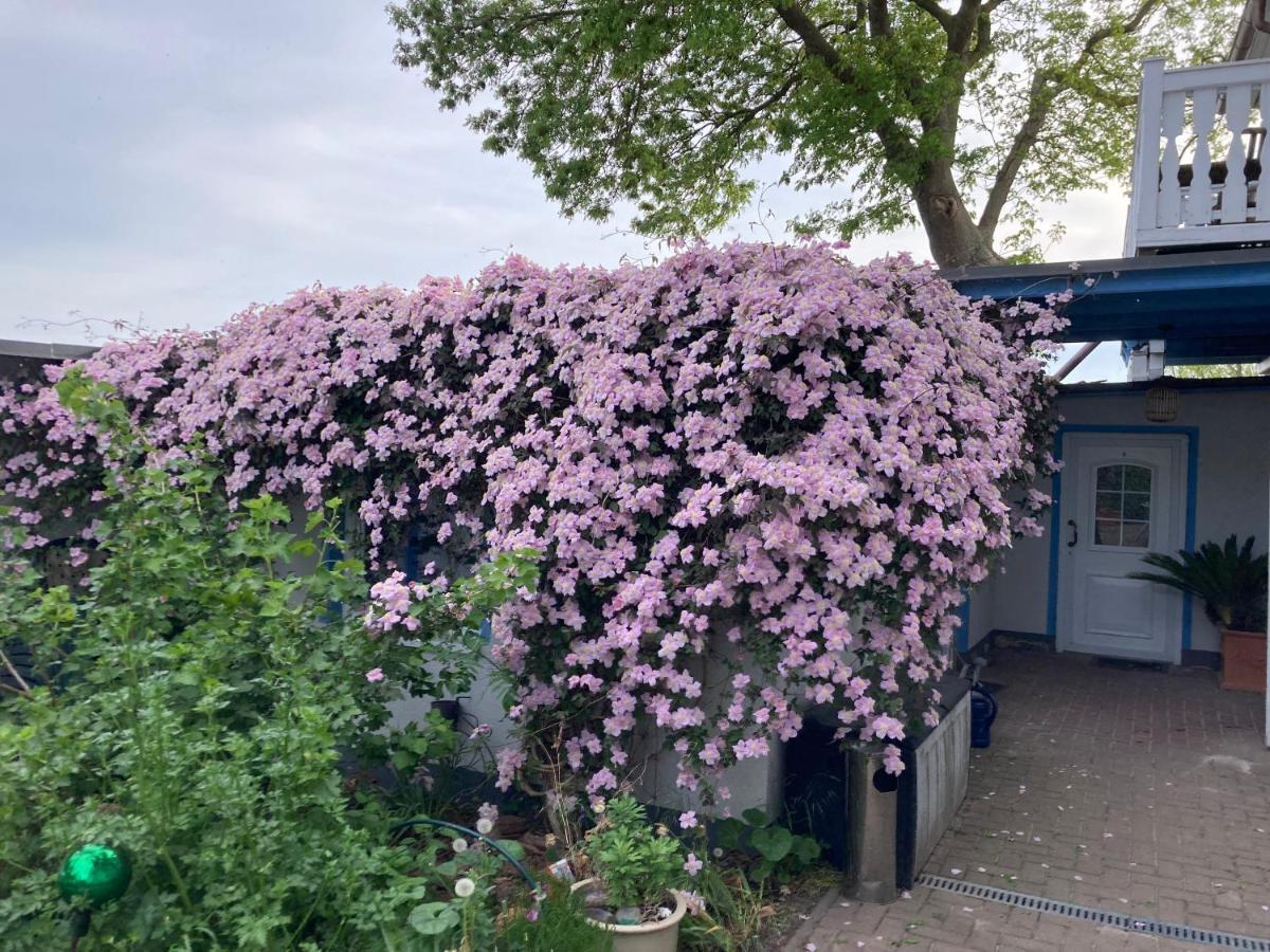 Ahoi Marie Lägenhet Middelhagen Exteriör bild